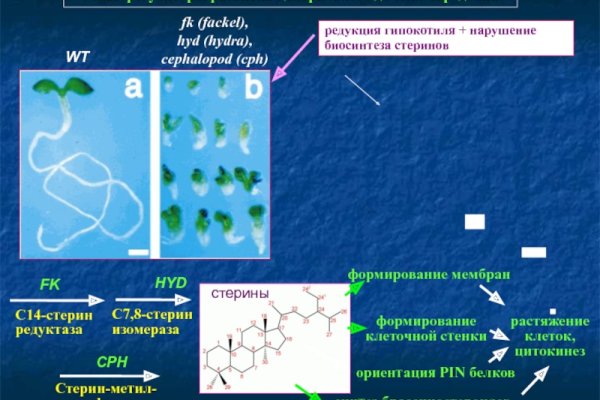 Кракен krakens13 at