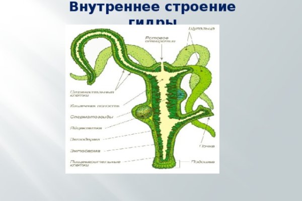 Кракен пользователь не найден