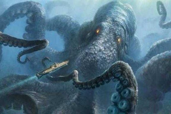 Kraken даркнет рынок